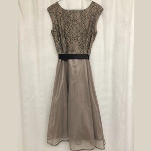 Dress Barn Lace Overlay Taupe Sz 6